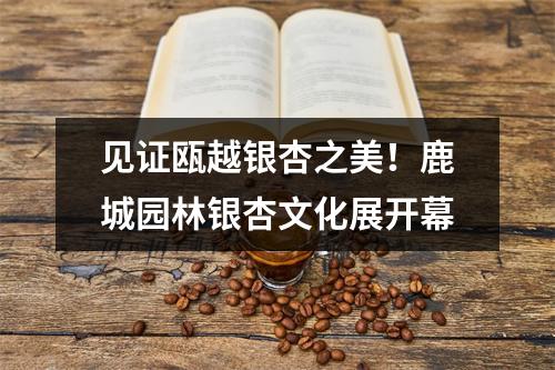 见证瓯越银杏之美！鹿城园林银杏文化展开幕