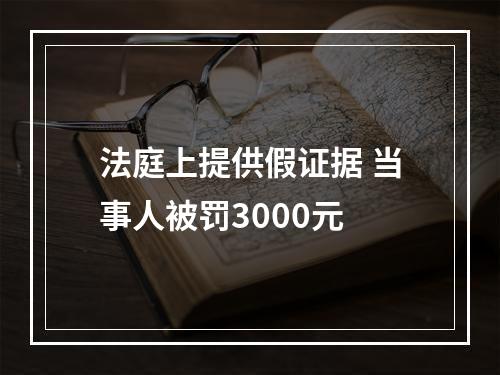 法庭上提供假证据 当事人被罚3000元