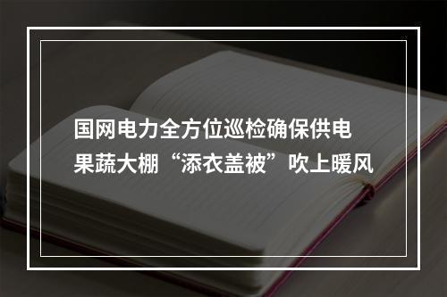 国网电力全方位巡检确保供电 果蔬大棚“添衣盖被”吹上暖风