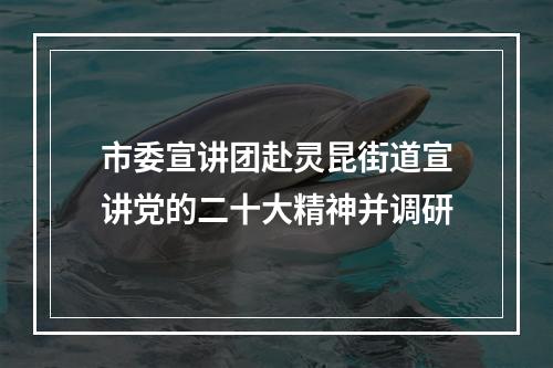 市委宣讲团赴灵昆街道宣讲党的二十大精神并调研