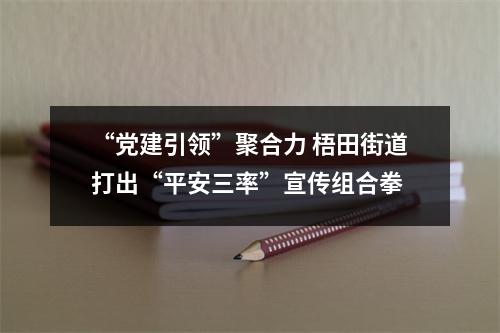 “党建引领”聚合力 梧田街道打出“平安三率”宣传组合拳