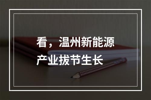 看，温州新能源产业拔节生长