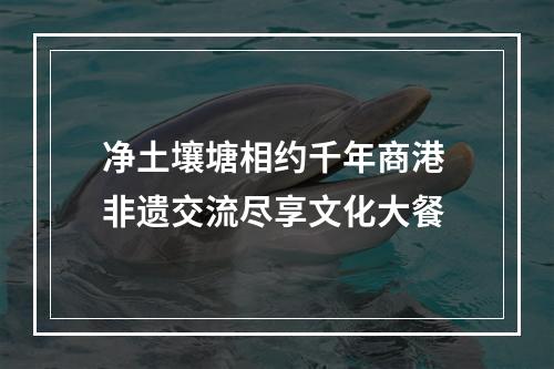 净土壤塘相约千年商港 非遗交流尽享文化大餐