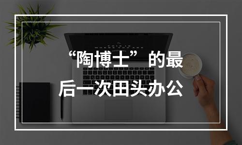“陶博士”的最后一次田头办公