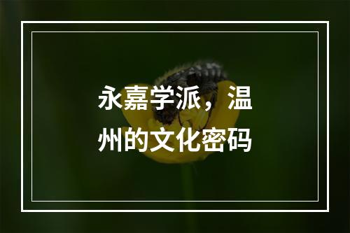 永嘉学派，温州的文化密码