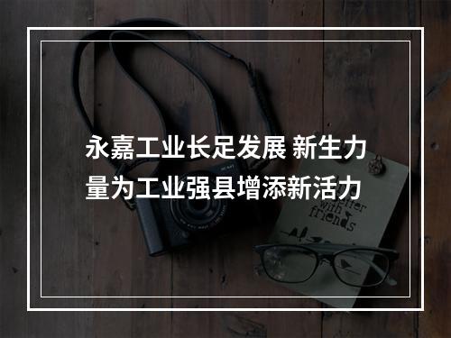 永嘉工业长足发展 新生力量为工业强县增添新活力