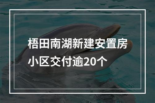 梧田南湖新建安置房小区交付逾20个