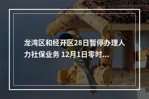 龙湾区和经开区28日暂停办理人力社保业务 12月1日零时恢复