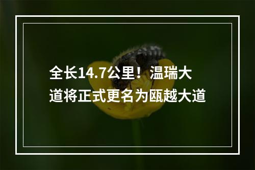 全长14.7公里！温瑞大道将正式更名为瓯越大道