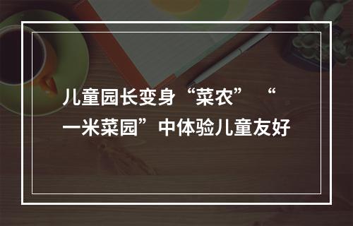 儿童园长变身“菜农” “一米菜园”中体验儿童友好