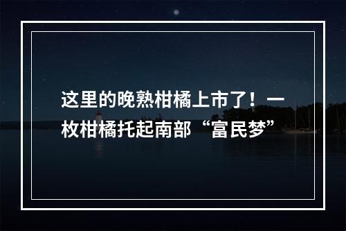 这里的晚熟柑橘上市了！一枚柑橘托起南部“富民梦”