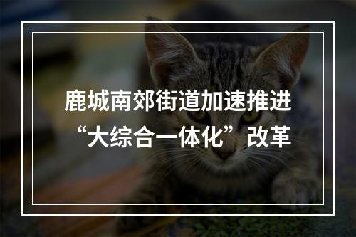鹿城南郊街道加速推进“大综合一体化”改革