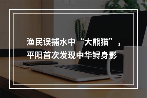 渔民误捕水中“大熊猫”，平阳首次发现中华鲟身影