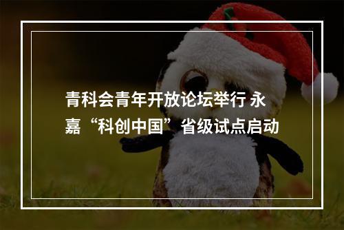 青科会青年开放论坛举行 永嘉“科创中国”省级试点启动