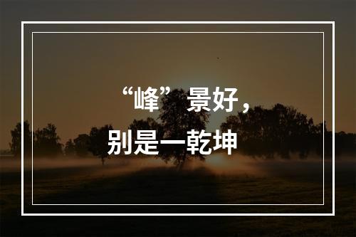 “峰”景好，别是一乾坤