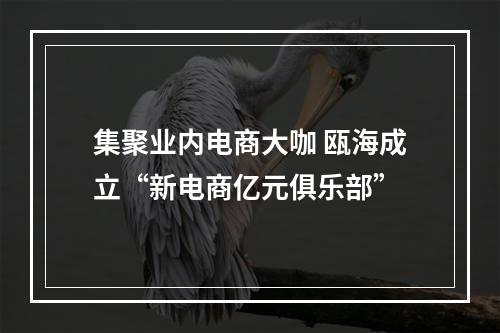 集聚业内电商大咖 瓯海成立“新电商亿元俱乐部”