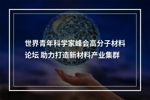 世界青年科学家峰会高分子材料论坛 助力打造新材料产业集群