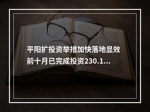 平阳扩投资举措加快落地显效  前十月已完成投资230.14亿元