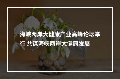 海峡两岸大健康产业高峰论坛举行 共谋海峡两岸大健康发展