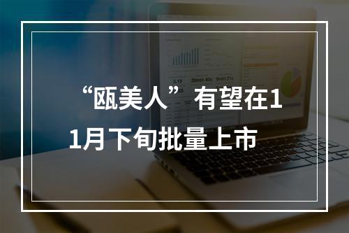 “瓯美人”有望在11月下旬批量上市
