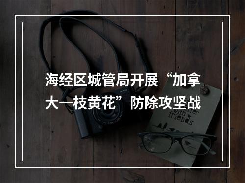 海经区城管局开展“加拿大一枝黄花”防除攻坚战