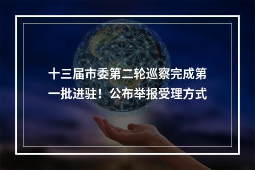 十三届市委第二轮巡察完成第一批进驻！公布举报受理方式