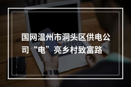 国网温州市洞头区供电公司“电”亮乡村致富路