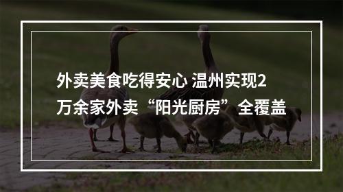 外卖美食吃得安心 温州实现2万余家外卖“阳光厨房”全覆盖