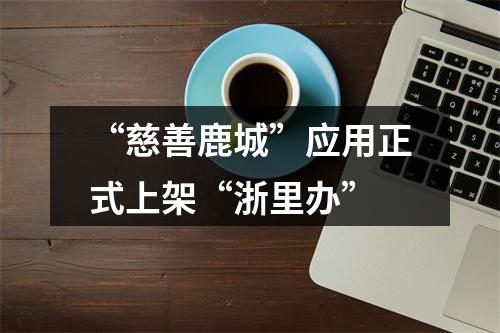 “慈善鹿城”应用正式上架“浙里办”