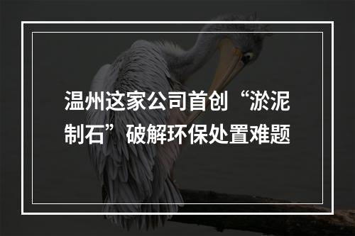 温州这家公司首创“淤泥制石”破解环保处置难题