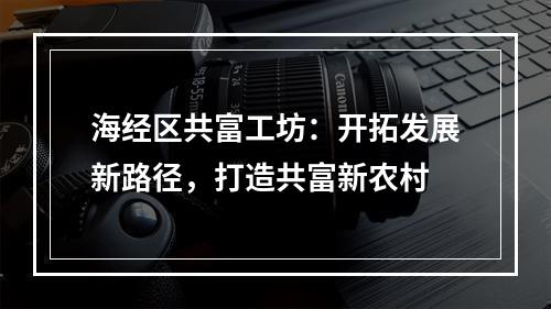 海经区共富工坊：开拓发展新路径，打造共富新农村