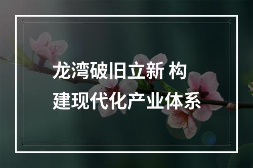 龙湾破旧立新 构建现代化产业体系
