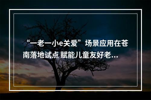 “一老一小e关爱”场景应用在苍南落地试点 赋能儿童友好老年友好城市建设