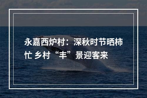 永嘉西炉村：深秋时节晒柿忙 乡村“丰”景迎客来