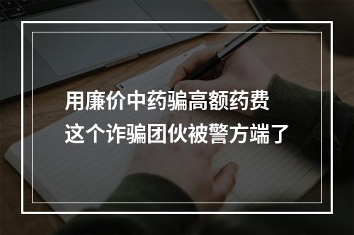用廉价中药骗高额药费 这个诈骗团伙被警方端了