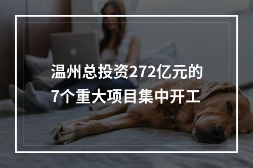 温州总投资272亿元的7个重大项目集中开工