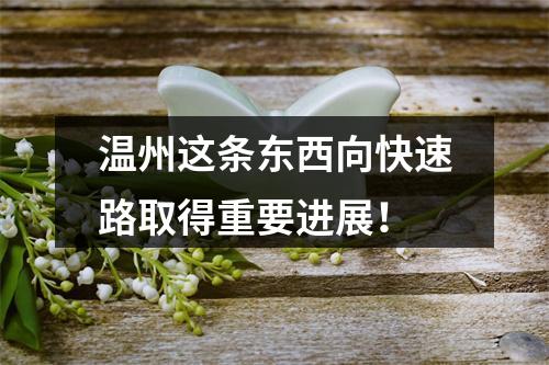 温州这条东西向快速路取得重要进展！