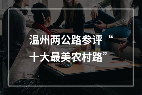 温州两公路参评“十大最美农村路”