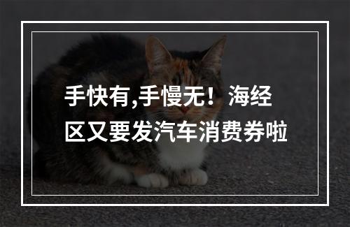 手快有,手慢无！海经区又要发汽车消费券啦