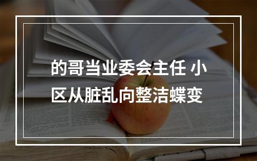 的哥当业委会主任 小区从脏乱向整洁蝶变
