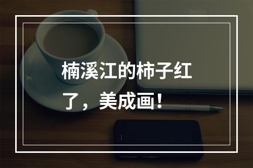 楠溪江的柿子红了，美成画！