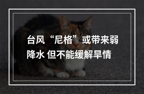 台风“尼格”或带来弱降水 但不能缓解旱情
