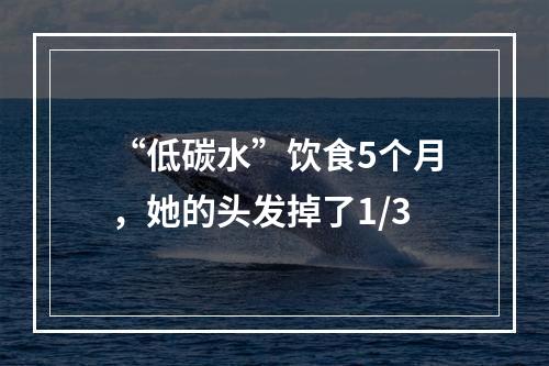 “低碳水”饮食5个月，她的头发掉了1/3
