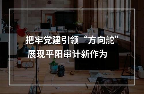 把牢党建引领“方向舵” 展现平阳审计新作为