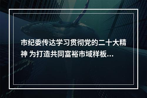 市纪委传达学习贯彻党的二十大精神 为打造共同富裕市域样板提供纪律保障
