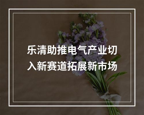 乐清助推电气产业切入新赛道拓展新市场