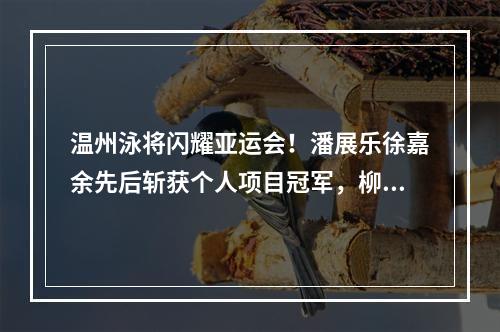 温州泳将闪耀亚运会！潘展乐徐嘉余先后斩获个人项目冠军，柳雅欣贡献接力金牌