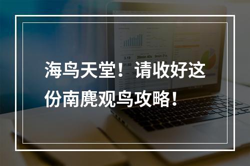 海鸟天堂！请收好这份南麂观鸟攻略！