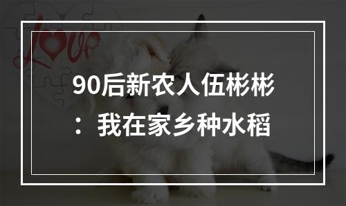 90后新农人伍彬彬：我在家乡种水稻