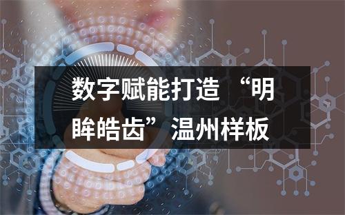 数字赋能打造 “明眸皓齿”温州样板